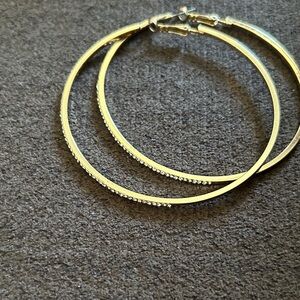 Elegant Gold Hoop Earrings